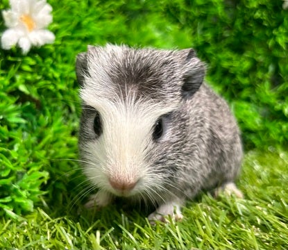 ☆4月24日撮影☆