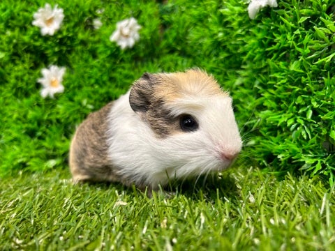 ☆4月24日撮影☆