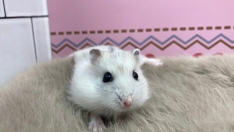 興味津々！