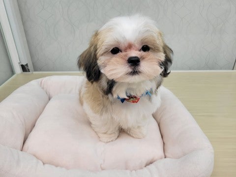 2025/04/24撮影　遊ぶのが大好きです💨