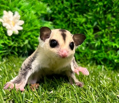 ☆4月24日撮影☆