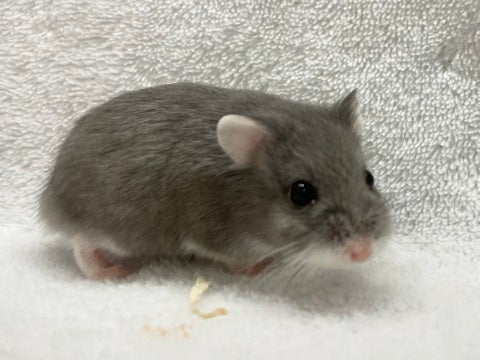 ぜひ会いに来てください❣️
