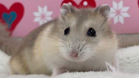 慣れていない環境でドキドキ💦