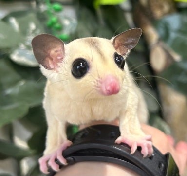 ☆4月25日撮影☆