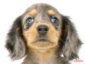 【2025/04/28撮影】いつも動き回る活発さ、そして甘えん坊なところが魅力💕