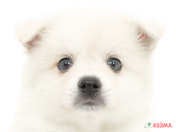 824652_ext_33_0_L.jpg