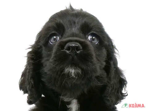 【2025/04/28撮影】くりくりとした大きくキュートなおめめ💕