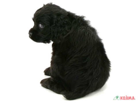 【2025/04/28撮影】お店で待ってるよ💕