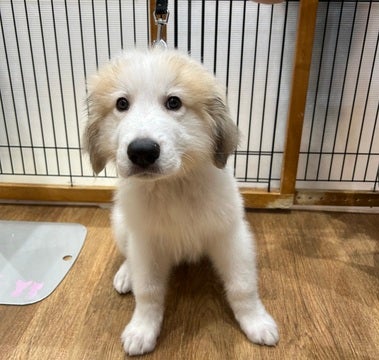 2025/04/26撮影