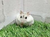 4/24撮影🌟