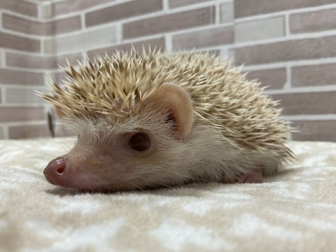 4/25撮影📸
