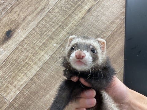 かわいい！😍