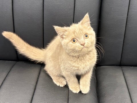 4/27撮影♬ 会いにきてね🐾