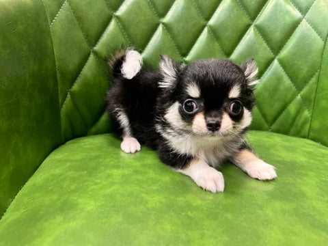 【2025/04/27撮影】お店で待ってるよ💕