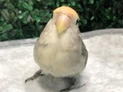 ふんっ！✨4/28