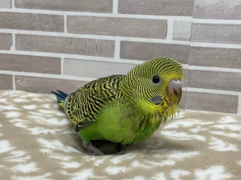 ポージング✨