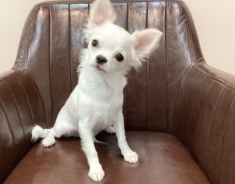 2025/4/28更新　元気いっぱい！！とっても甘えん坊さん💕