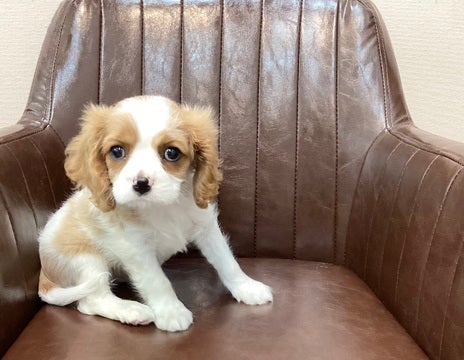 2025/4/28更新　人と食べることがだーーーいすき💖