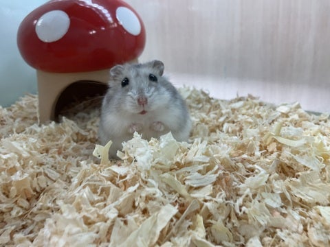 2025/04/28 撮影📸　※写真はイメージです