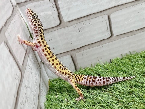 4/27撮影🌟