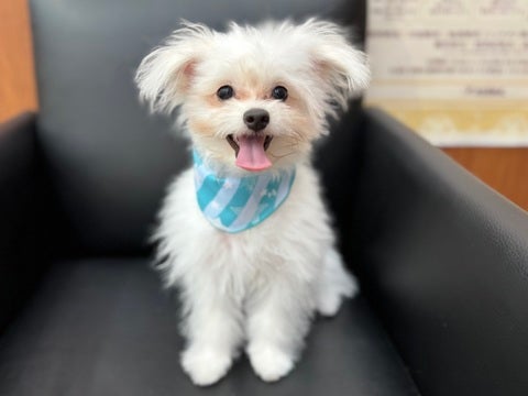 フサフサ～😍💓（2025.4/28撮影📸）