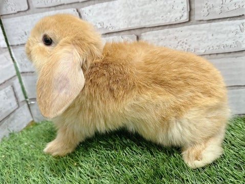4/18撮影🌟