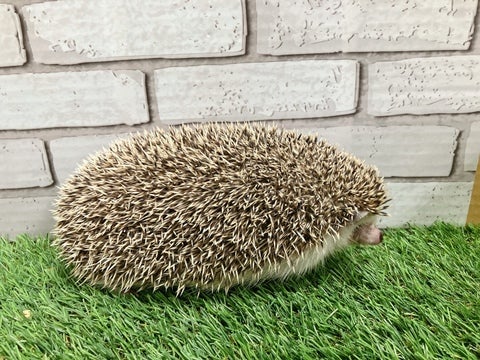 4/23撮影🌟