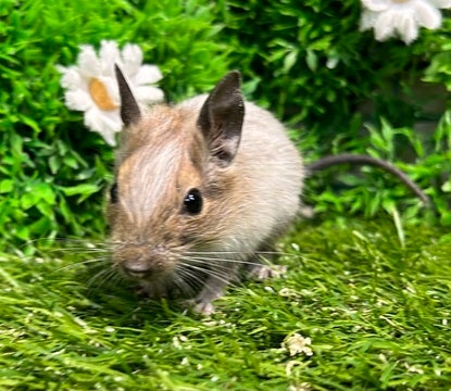☆3月21日撮影☆
