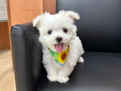 ニコニコ～☺️💗（2025.4/30撮影📸）