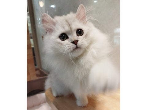 【2025/4/30撮影】ぼくと遊ぼうにゃ！！