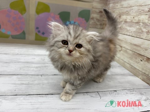 2025/04/30撮影　パパ　5kg　ママ　5kg
