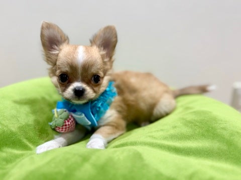 2025/04/30 ちょっと緊張したけどお写真可愛く撮れました⭐️
