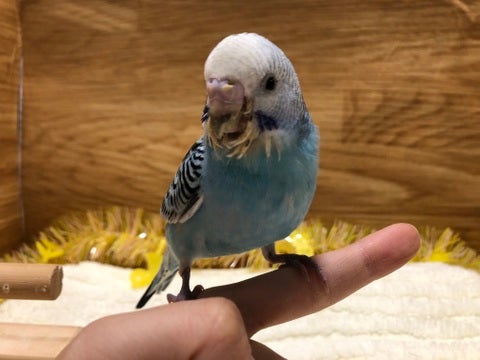 【4月30日撮影】