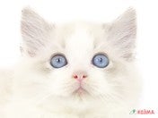 【2025/04/28撮影】