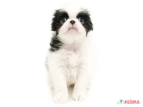 むっちり系です💕