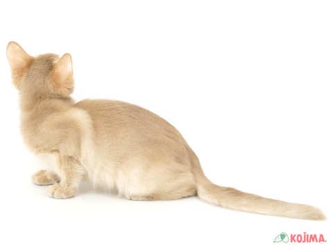2025/05/02撮影　会いに来てね🐾