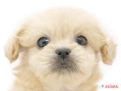 825362_ext_33_0_L.jpg