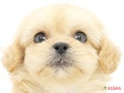 825364_ext_33_0_L.jpg