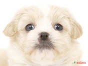 825371_ext_33_0_L.jpg