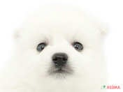 825421_ext_33_0_L.jpg