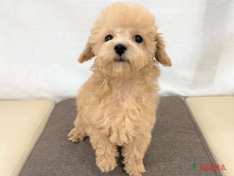 2025/05/01撮影  元気いっぱいの男の子♡
