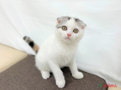 2025/05/01 人が大好きな女の子♡