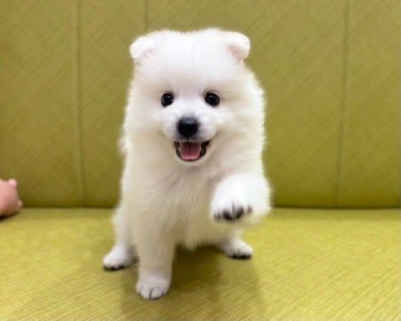 【2025/04/30撮影】ニコニコ笑顔✨