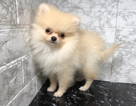 4/1撮影♬　会いに来てね🐾