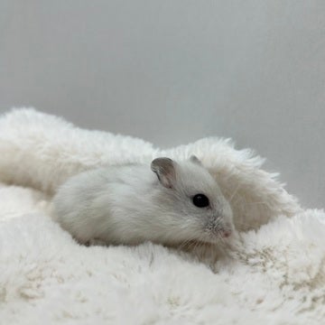 是非お店でご覧ください✨