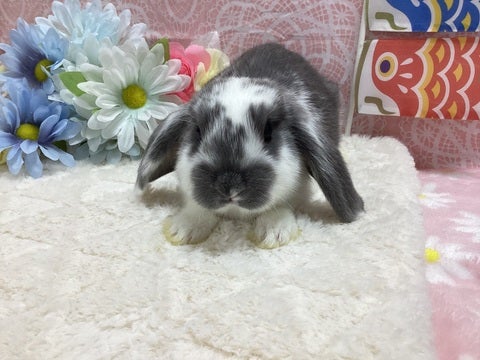 🌱是非、ご来店お待ちしております♪
