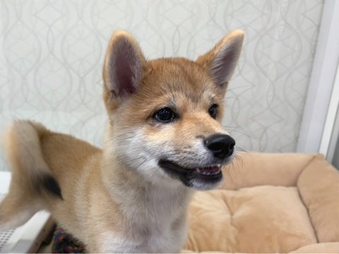 5/1 撮影💗