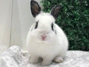 もちもちです💕5/1
