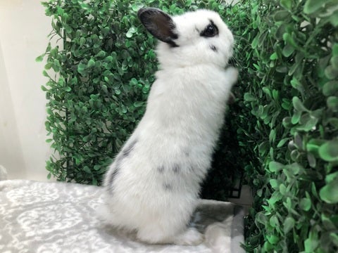 あんよが短い…😭💞