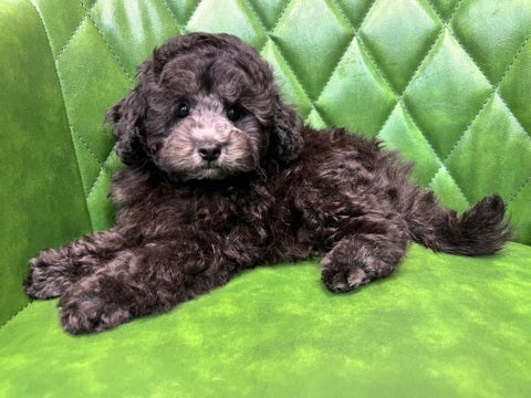【2025/05/01撮影】お店で待ってるよ💕